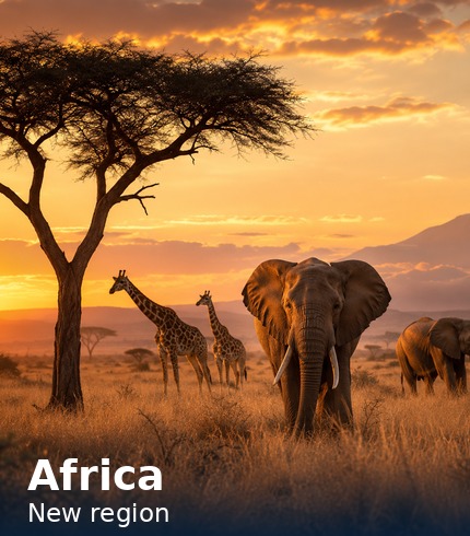 Africa