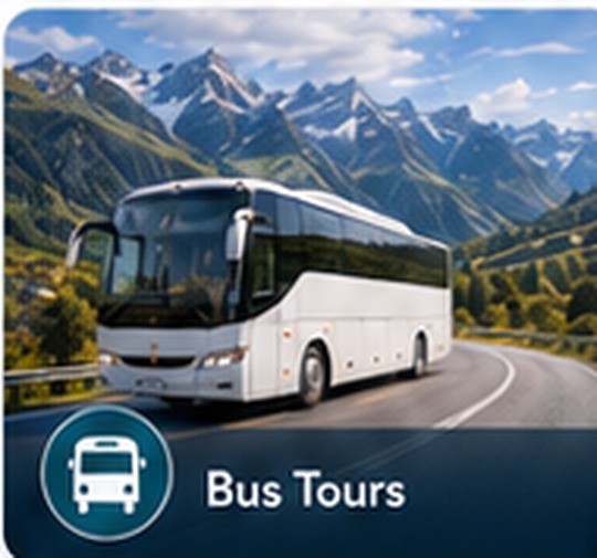 Bus Tours